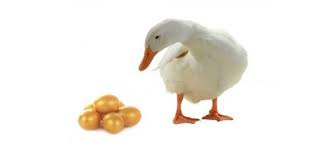 The Goose & the Golden Egg