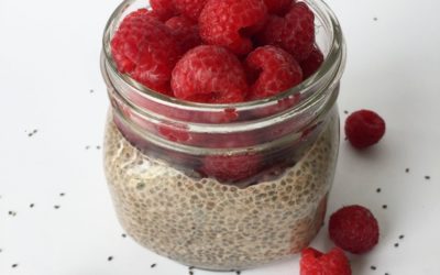 Chia Pudding Master Guide
