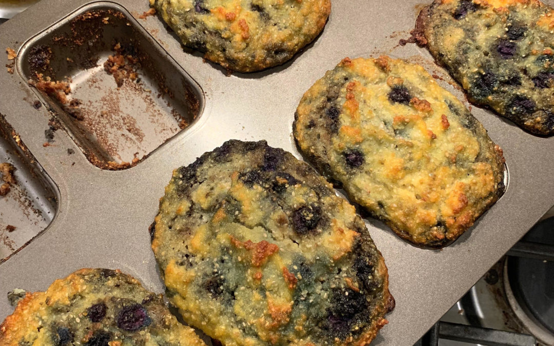 Coconut Blueberry Chia Seed Muffins