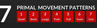 7 Primal Movement Patterns