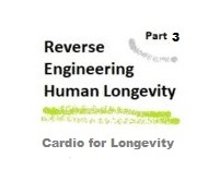 Reverse Engineering Human Longevity – Part 3 – Lift Heavy Things