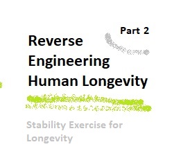 Reverse Engineering Human Longevity – Part 2 – Stability Exercise